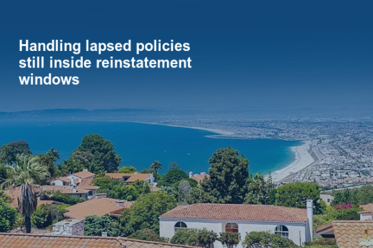 Handling lapsed policies still inside reinstatement windows
